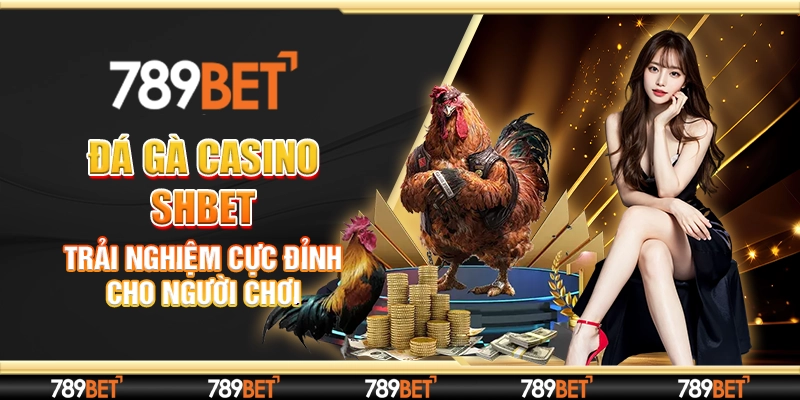 đá gà casino