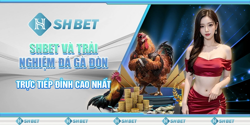 SHBET Và Trải Nghiệm Đá Gà Đòn Trực Tiếp Đỉnh Cao Nhất
