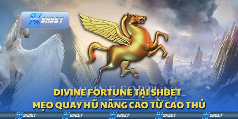 Divine Fortune tại Shbet - Mẹo quay hũ nâng cao từ cao thủ